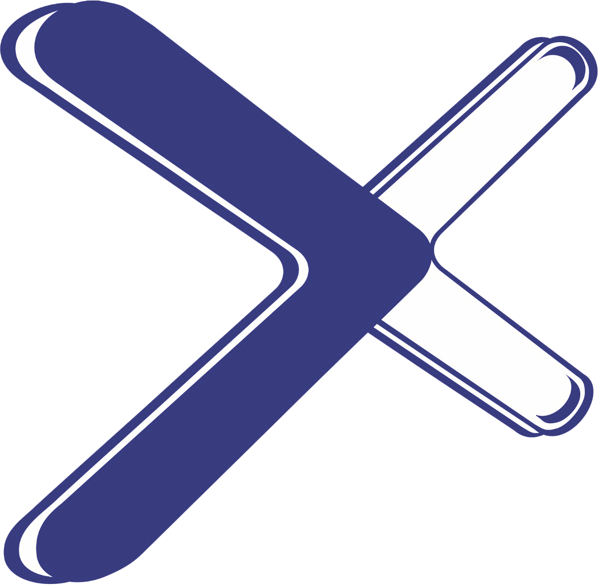 DICOXA Logo